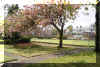 Pontnewydd Park, Mt Pleasant Rd.